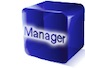ManagerBrick