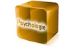 PsychologieBrick