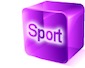 SportBrick